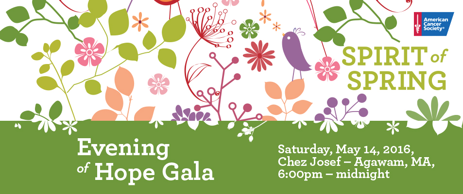 Evening of Hope Gala - 2016  acs banner2